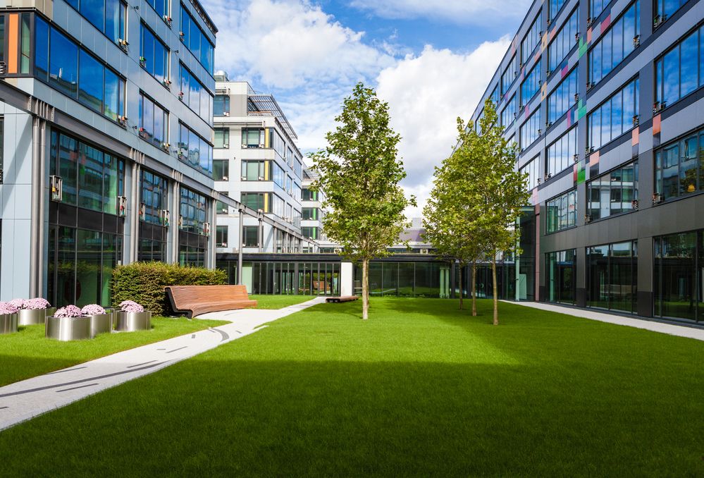 Grassy area between two modern buildings