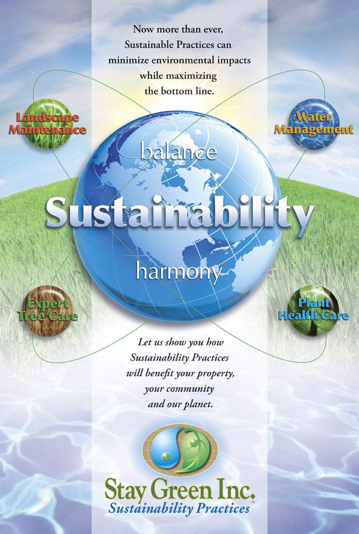 Stay Green Sustainability Practices