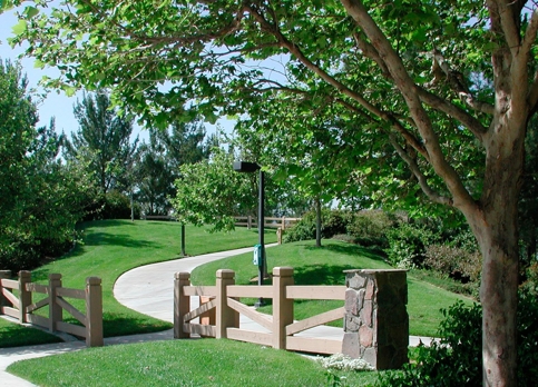 Commercial Landscaping, Green Canyon Landscape And Tree Service