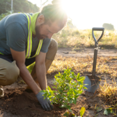 Man placing a plant in soil
