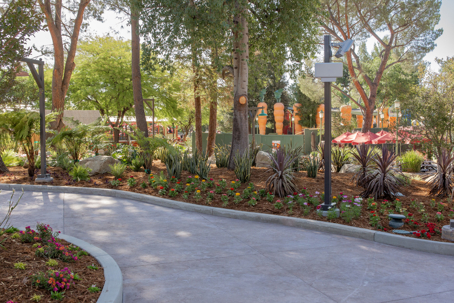 Seasonal Transitions Matter: Protecting Plant Health Through the Summer Shift