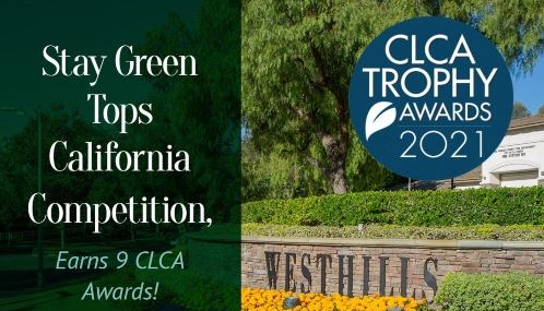 Stay Green Tops California Competition