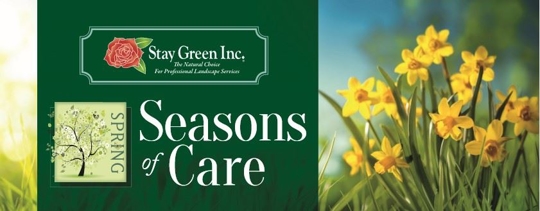 Spring Season of Care