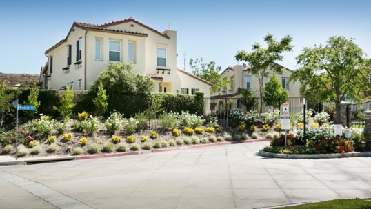 Landscaping, homes, and streets in a residential neighborhood.