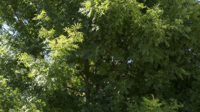 Brock Villas HOA Photo