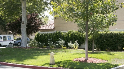 Brock Villas Owners Association Exterior Residential Landscape Photo