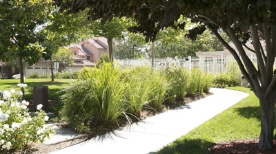 Brock Villas Owners Association Exterior Residential Landscape Photo