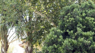 Brock Villas Owners Association Exterior Residential Landscape Photo