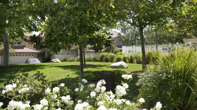 Brock Villas Owners Association Exterior Residential Landscape Photo