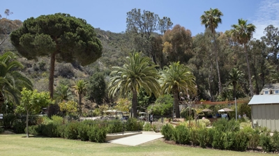 Catalina Island Photo