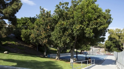 City of Rancho Palos Verdes Photo