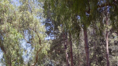 City of Santa Clarita Photo