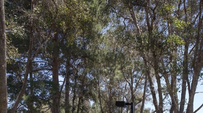 City of Santa Clarita Photo