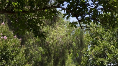 City of Santa Clarita Photo