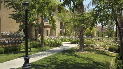 Sonoma Apartments Exterior Residential Landscape Photo