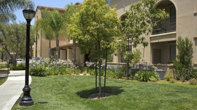 Sonoma Apartments Exterior Residential Landscape Photo