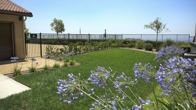 Sonoma Apartments Exterior Residential Landscape Photo