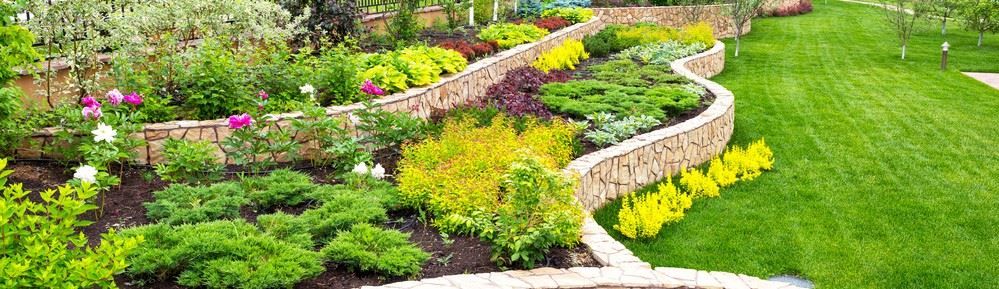 Commercial Landscaping Scene in Santa Barbara