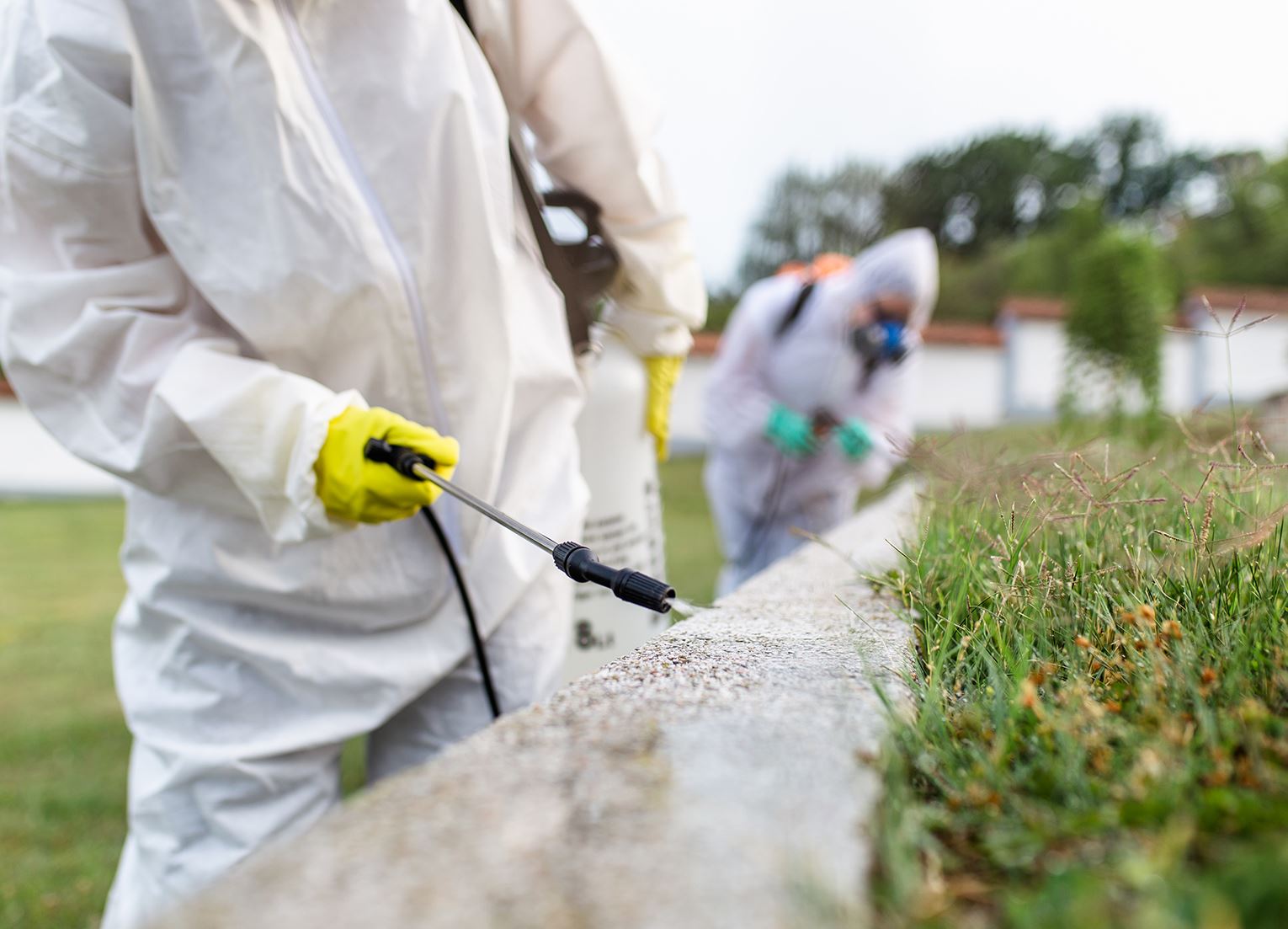 Commercial pest control in Santa Clarita lawn