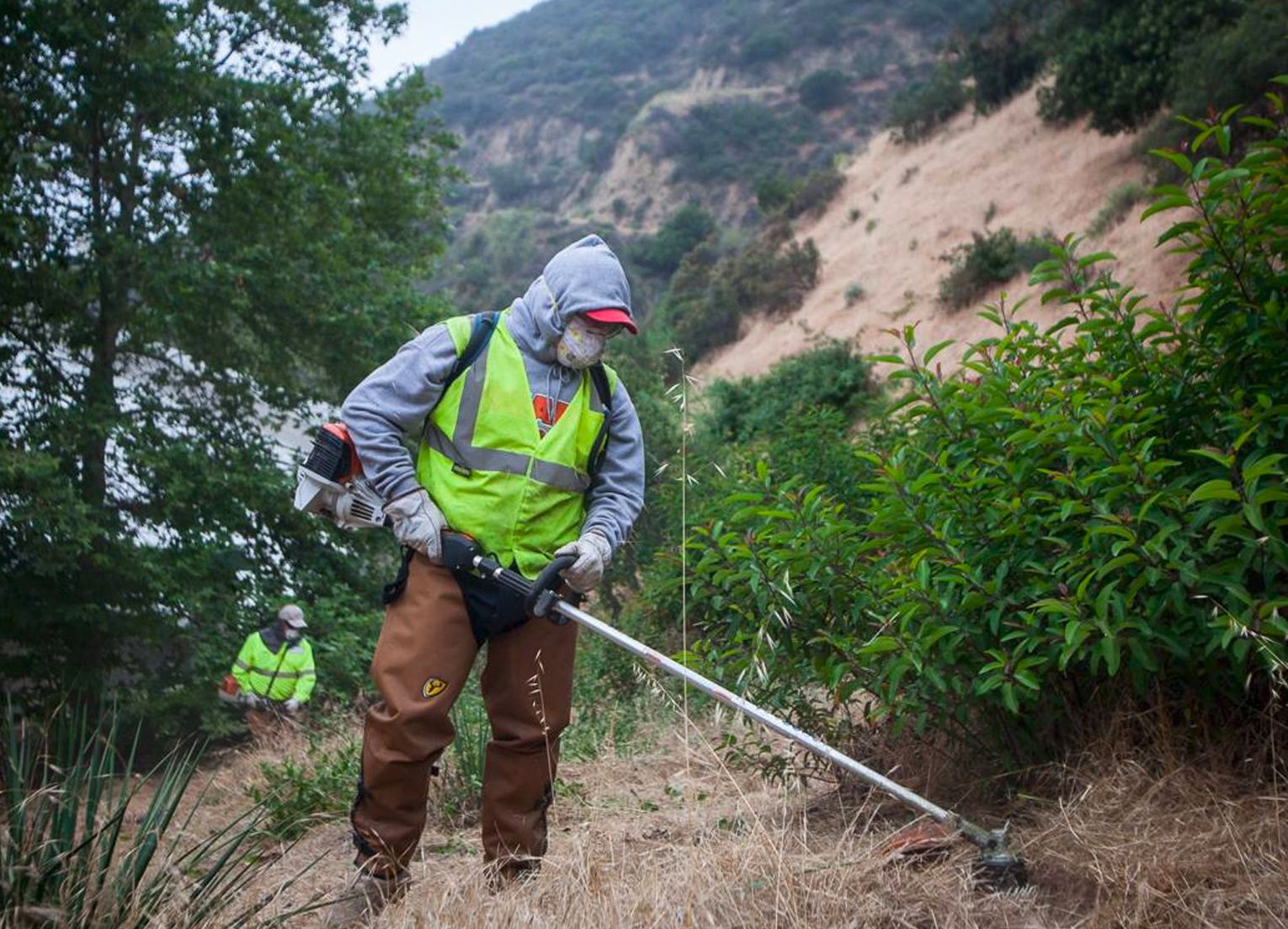 man clearing brush