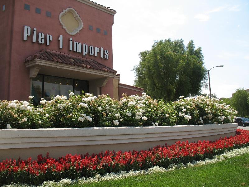 Store front that says "Pier 1 Imports" with flowers out front