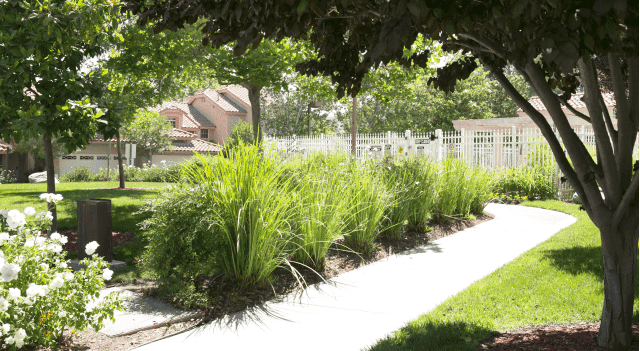 Residential neighborhood landscaping