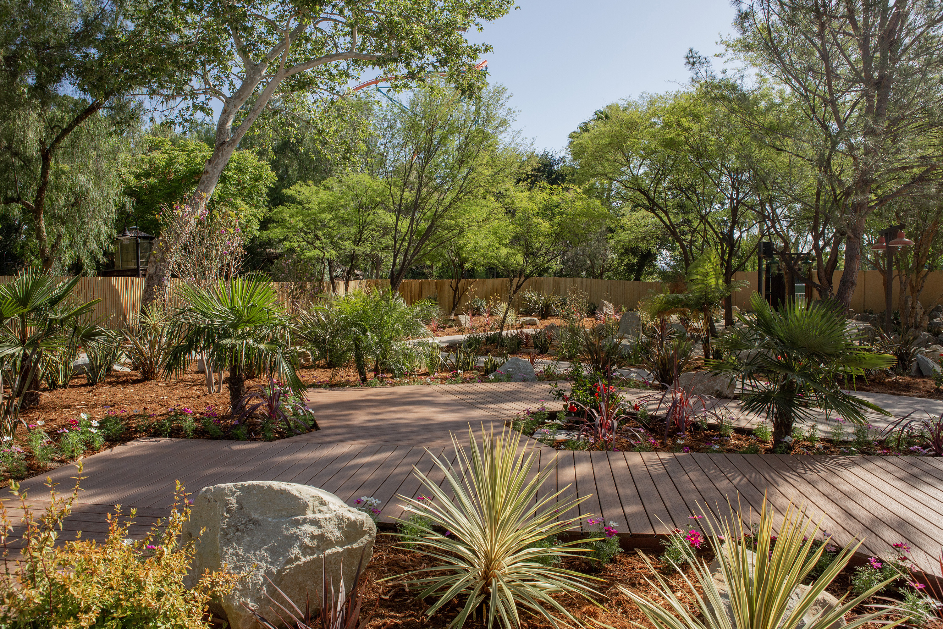 Landscaped Yard