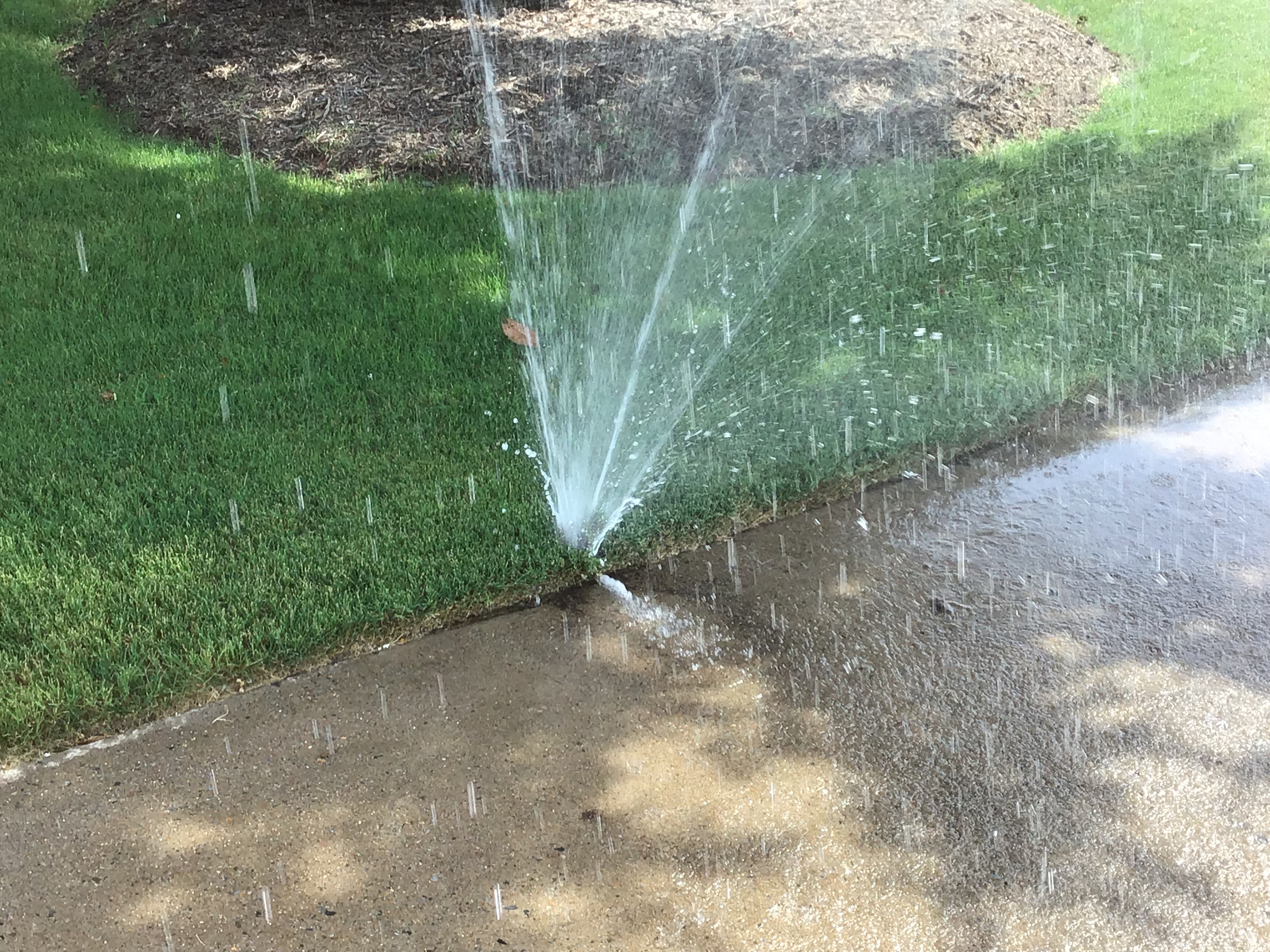 sprinkler