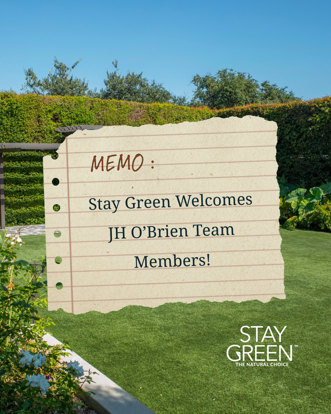 Stay Green Grows to Serve You Even Better