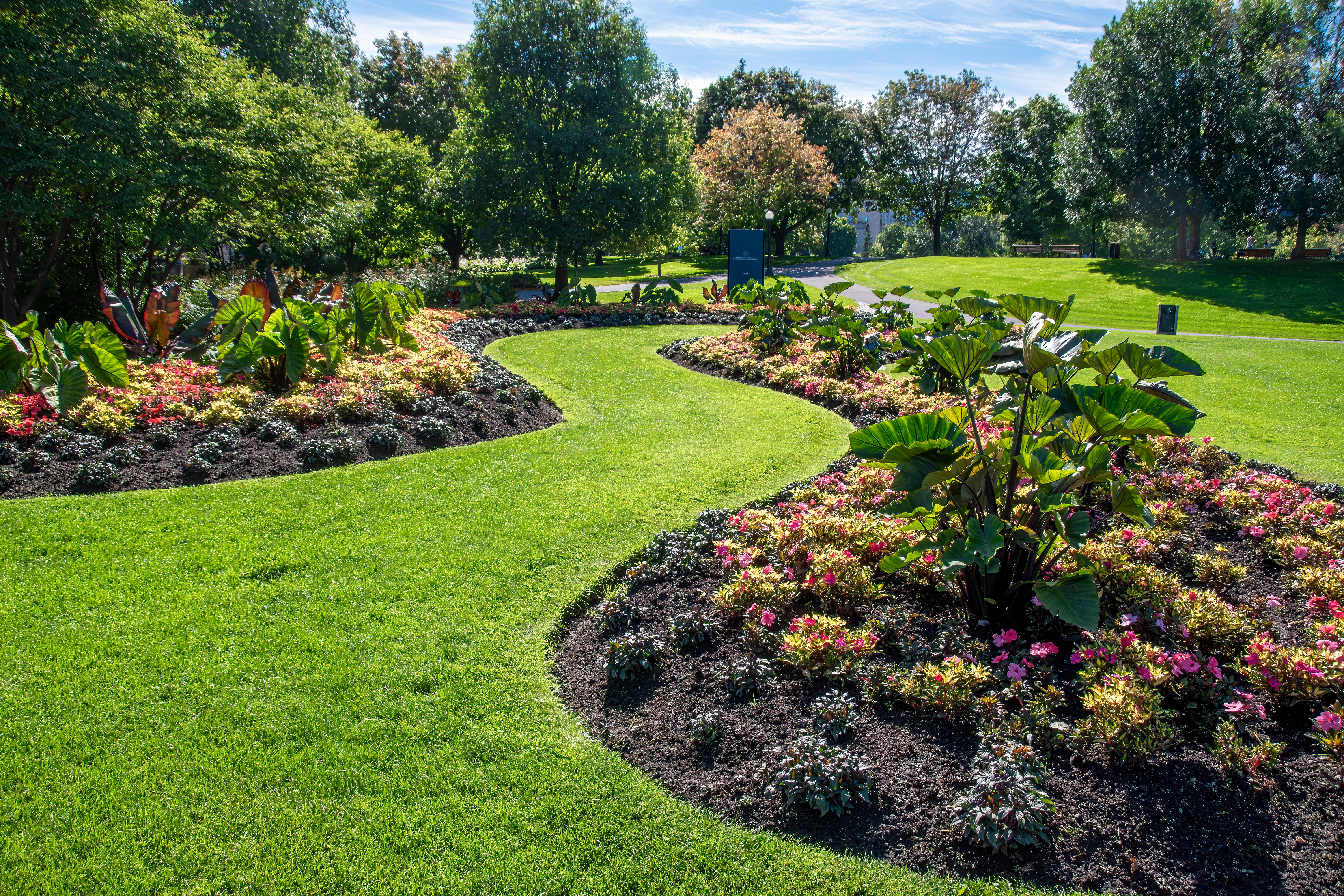 Thoughtful Landscape Design