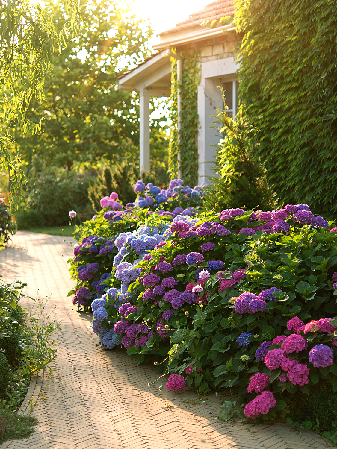 Plan Now for a Strong, Healthy Fall Landscape