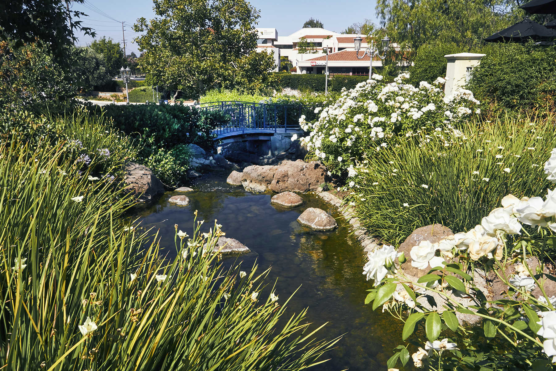 The Commons at Calabasas