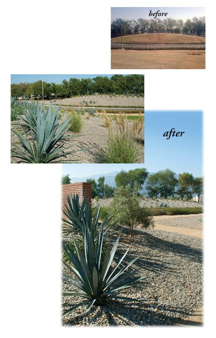 Before and after images of the landscaping at MillerCoors 