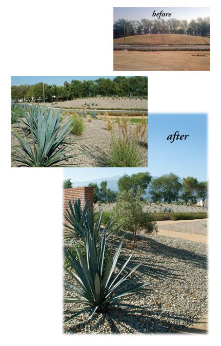 Before and after images of the landscaping at MillerCoors