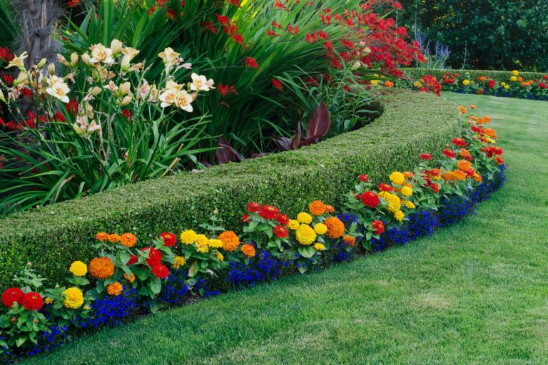 Landscaping with various colorful flowers and plants