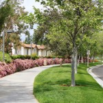 Landscaping in a residential neighborhood