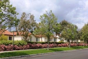 Landscaping in a residential neighborhood