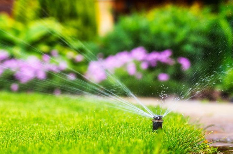 Sprinkler with purple flowers in the background