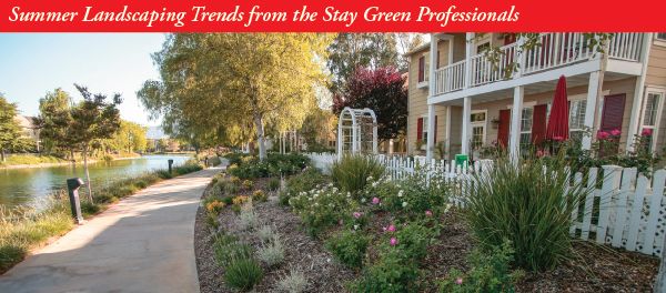Summer landscaping trends from the Stay Green professionals