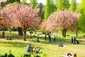 People enjoying a park