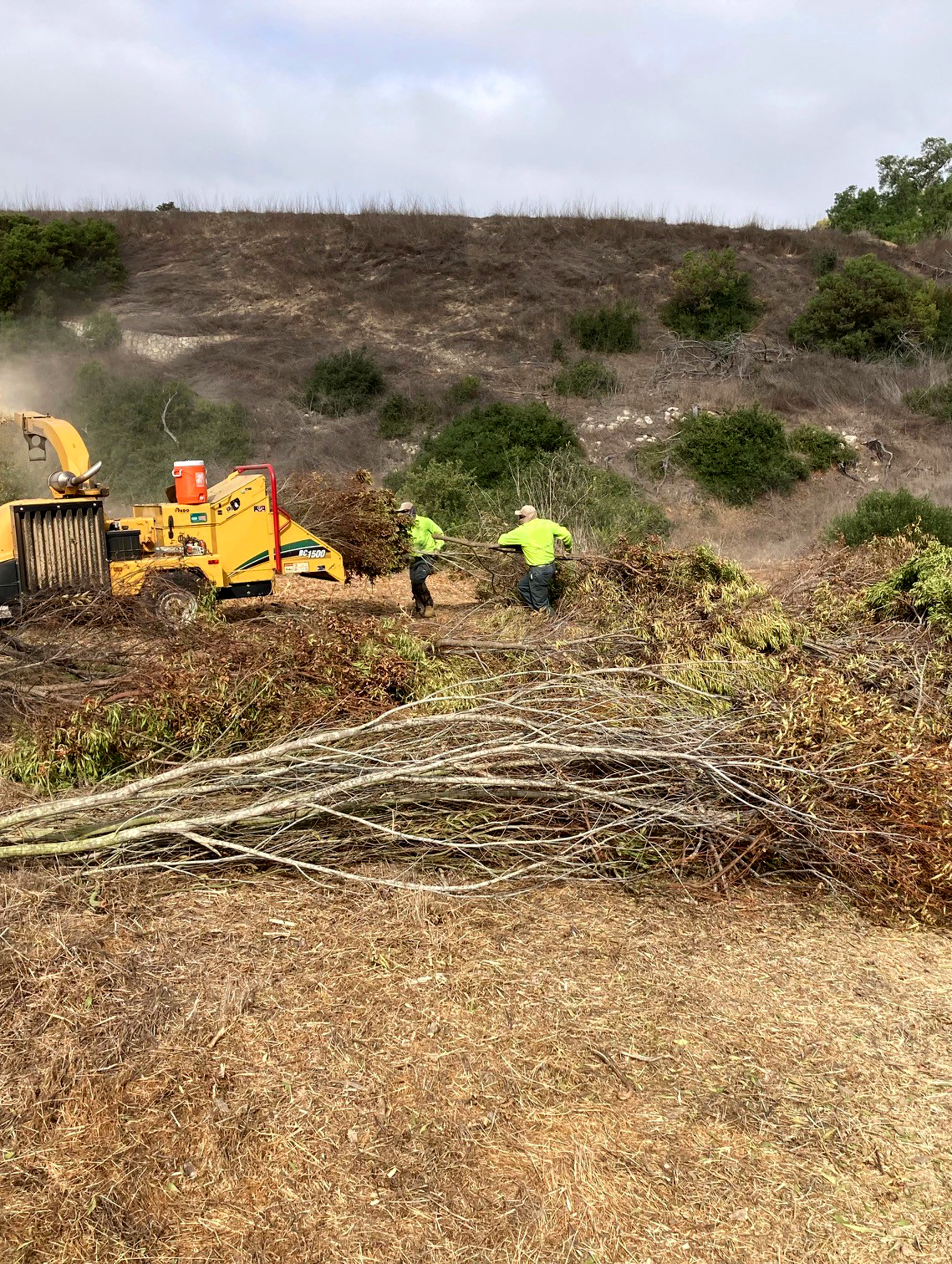 brush clearance