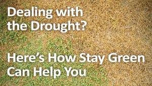 Dealing with the drought? Here's how Stay Green can help you