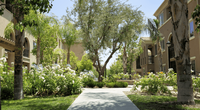 Residential neighborhood landscaping