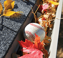 baseball in a pile of fall leaves