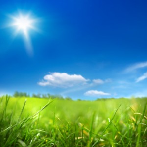 Green field and blue sky