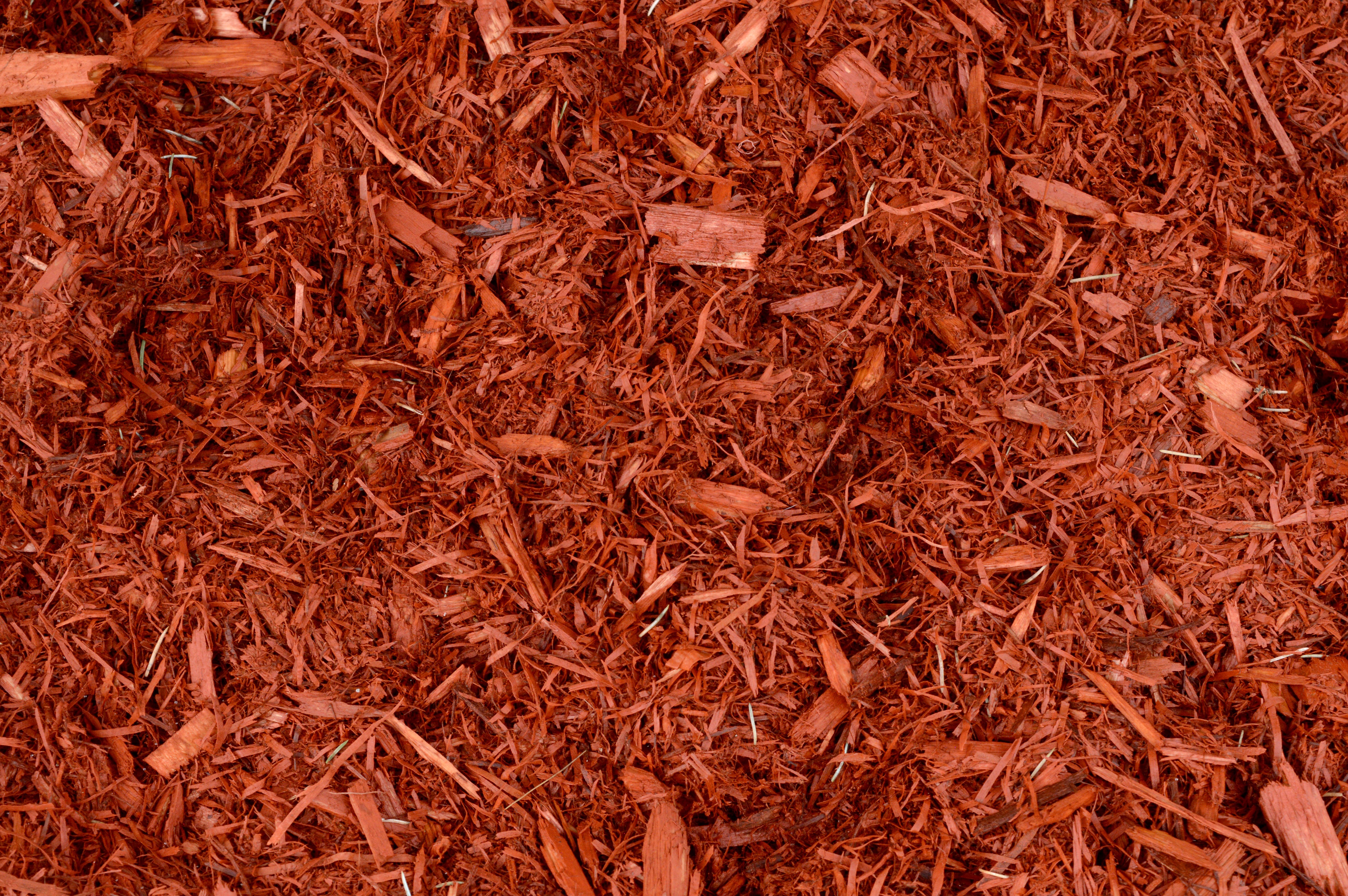 Mulch Benefits