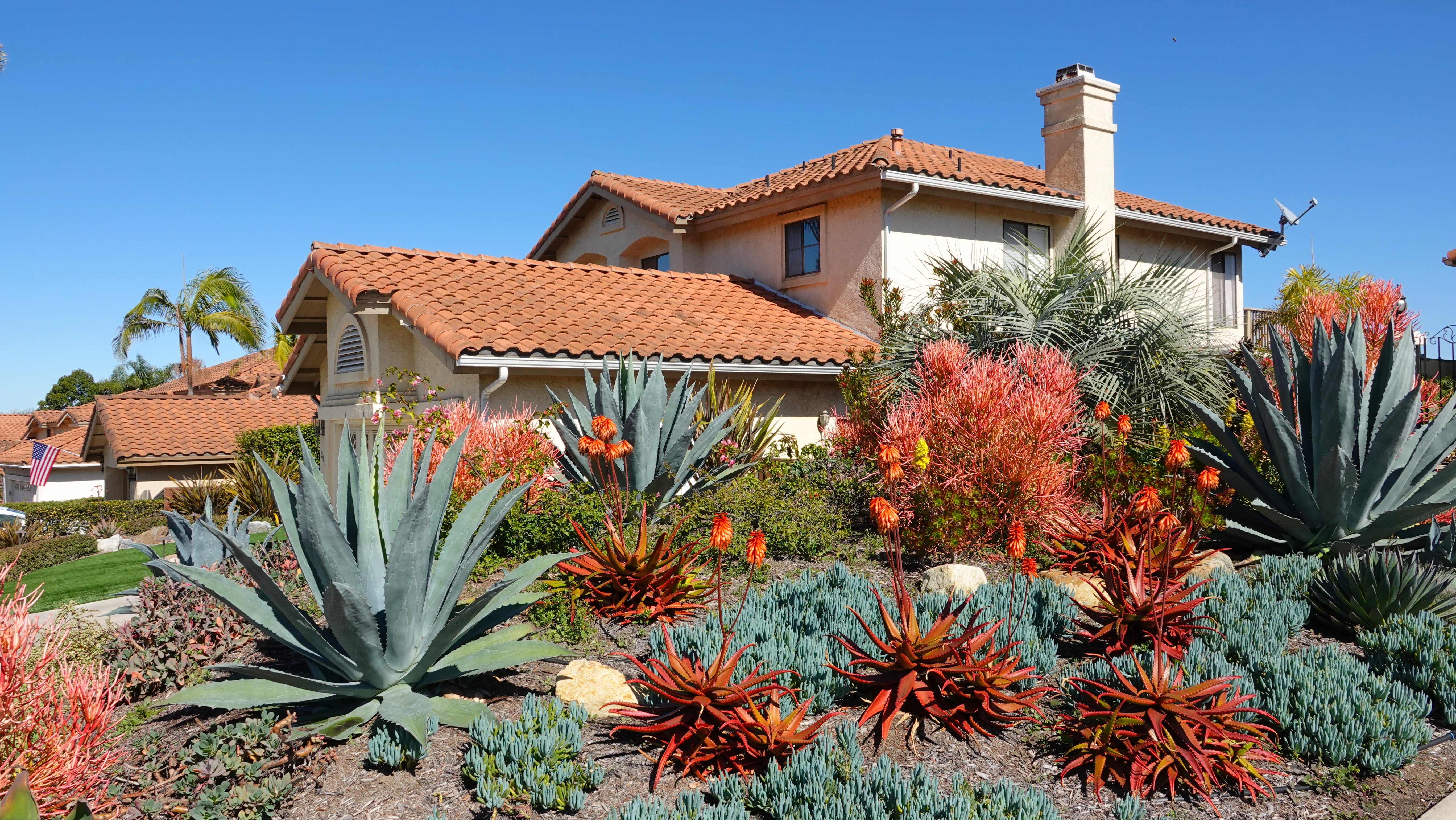 Landscaping in SoCal