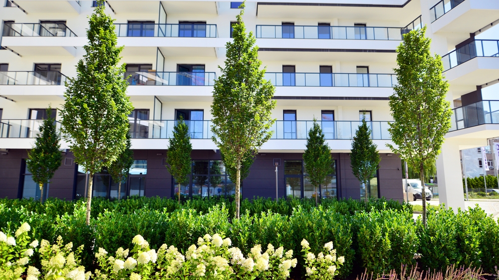 Why Winter Is the Smart Season for Pruning Trees