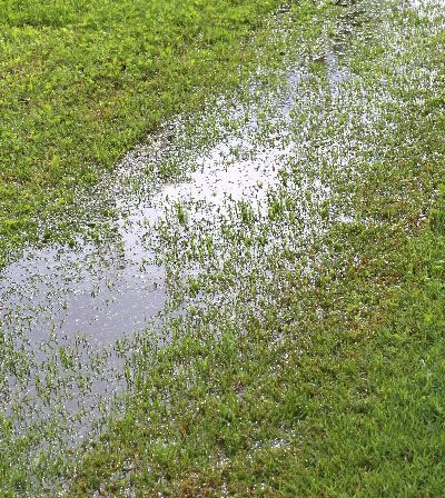 flooded lawn