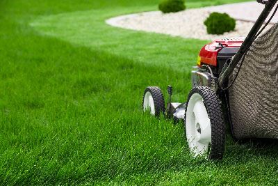 mowing the grass